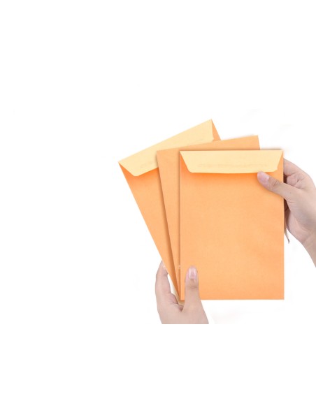 Sobre liderpapel bolsa n0 cel cana salarios 100x145mm tira silicona caja de 1000 unidades