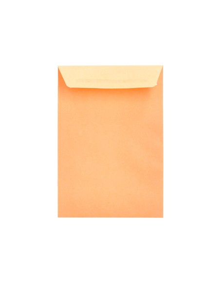 Sobre liderpapel bolsa n0 cel cana salarios 100x145mm tira silicona caja de 1000 unidades