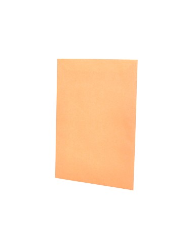 Sobre liderpapel bolsa n0 cel cana salarios 100x145mm tira silicona caja de 1000 unidades