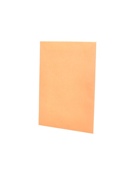 Sobre liderpapel bolsa n0 cel cana salarios 100x145mm tira silicona caja de 1000 unidades