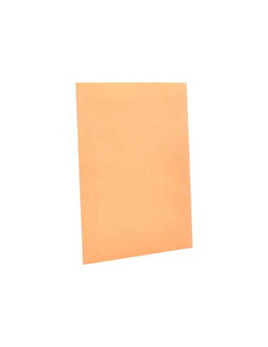 Sobre liderpapel bolsa n0 cel cana salarios 100x145mm tira silicona caja de 1000 unidades