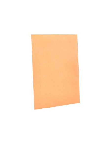 Sobre liderpapel bolsa n0 cel cana salarios 100x145mm tira silicona caja de 1000 unidades