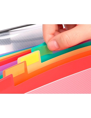 Carpeta liderpapel clasificador fuelle 45134 polipropileno a4 transparente spectrafile 13 departamentos
