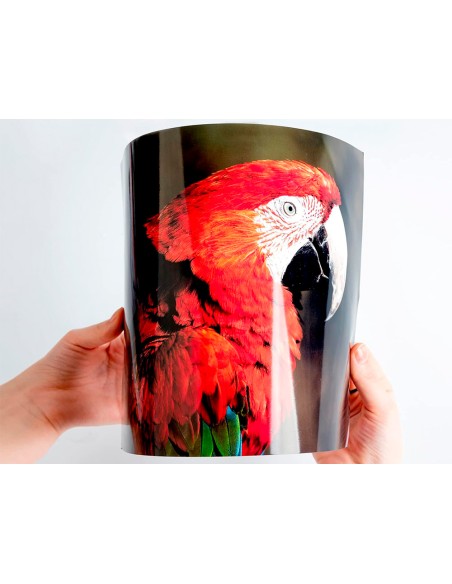 Papel q connect foto glossy kf02163 din a4 alta calidad digital photo para ink jet bolsa de 20 hojas de 260 gr