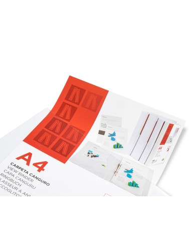 Carpeta canguro 4 anillas mixtas 25mm liderpapel a4 plastico blanca