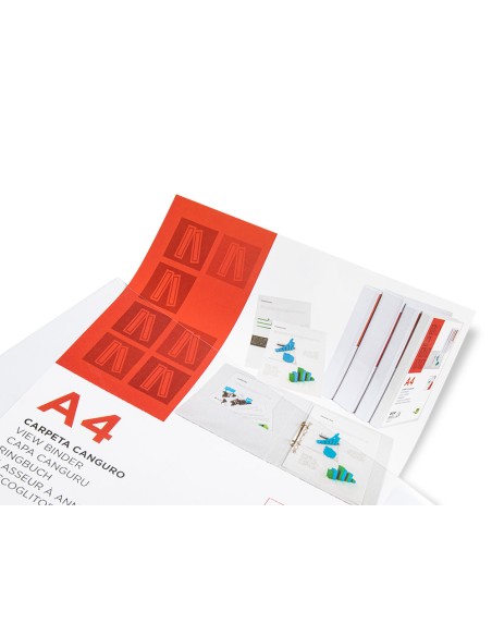 Carpeta canguro 2 anillas mixtas 25mm liderpapel a4 plastico blanca