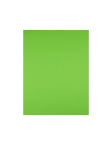 Cartulina liderpapel 50x65 cm 180g m2 verde hierba