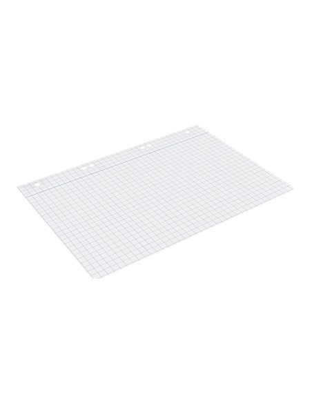 Recambio liderpapel cuarto 100 hojas 60g m2 cuadro 8mm con margen 6 taladros