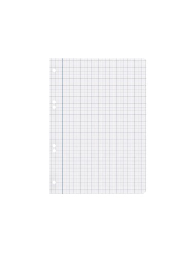 Recambio liderpapel cuarto 100 hojas 60g m2 cuadro 8mm con margen 6 taladros