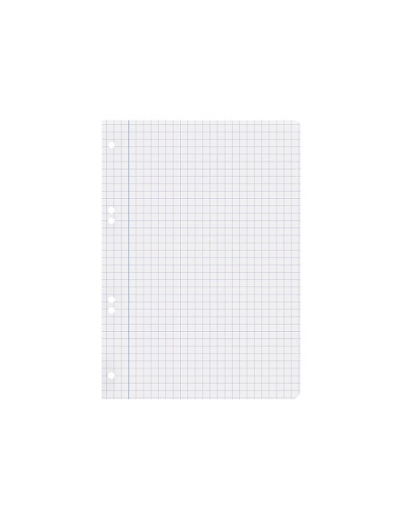 Recambio liderpapel cuarto 100 hojas 60g m2 cuadro 8mm con margen 6 taladros