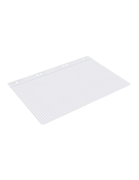 Recambio liderpapel cuarto 100 hojas 60g m2 cuadro 6mm con margen 6 taladros