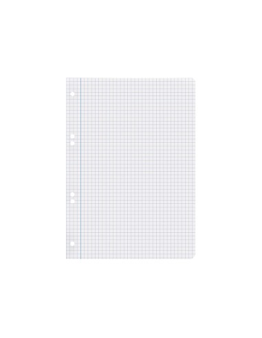 Recambio liderpapel cuarto 100 hojas 60g m2 cuadro 6mm con margen 6 taladros