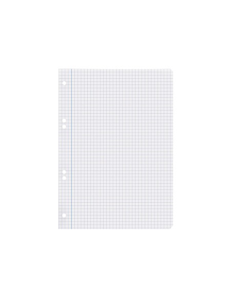 Recambio liderpapel cuarto 100 hojas 60g m2 cuadro 6mm con margen 6 taladros