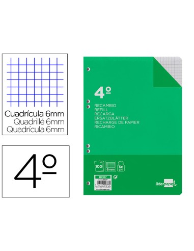 Recambio liderpapel cuarto 100 hojas 60g m2 cuadro 6mm con margen 6 taladros