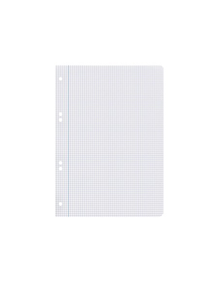 Recambio liderpapel cuarto 100 hojas 60g m2 cuadro 4mm con margen 6 taladros