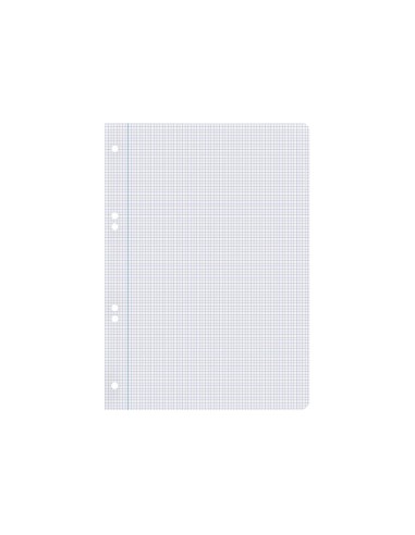 Recambio liderpapel cuarto 100 hojas 60g m2 cuadro 3mm con margen 6 taladros