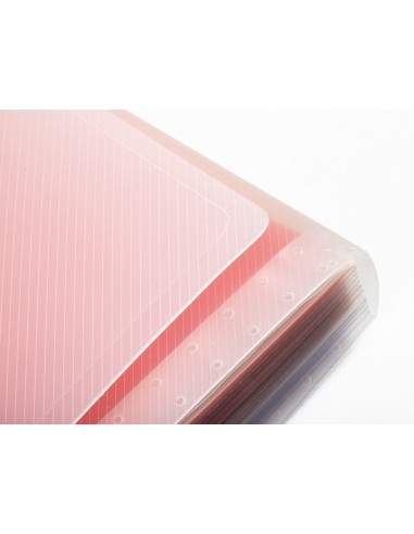 Carpeta liderpapel clasificador fuelle 42159 polipropileno a4 tte 2 huecos tarjetas spectrafile 13 dpto