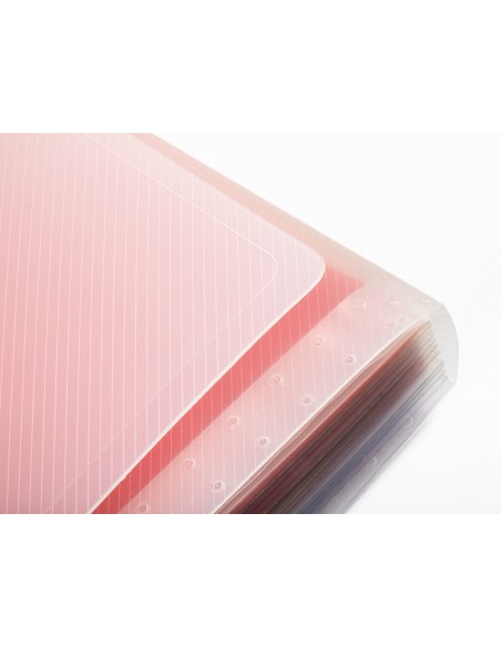 Carpeta liderpapel clasificador fuelle 42159 polipropileno a4 tte 2 huecos tarjetas spectrafile 13 dpto