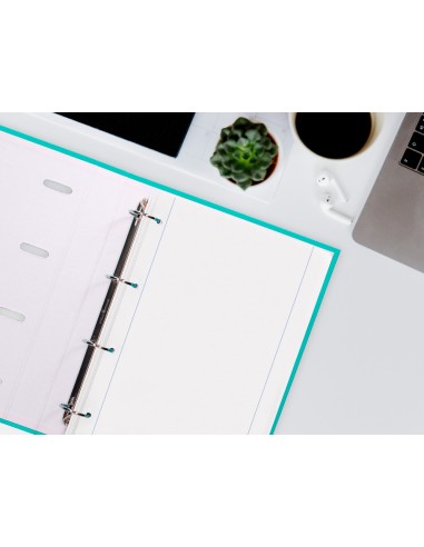 Recambio liderpapel a4 100 hojas 100g m2 liso con margen 4 taladros