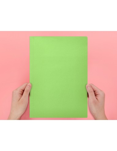Subcarpeta liderpapel din a4 verde intenso 180g m2