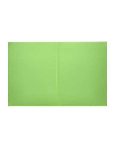 Subcarpeta liderpapel din a4 verde intenso 180g m2