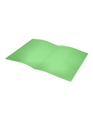 Subcarpeta liderpapel folio verde intenso 180g m2