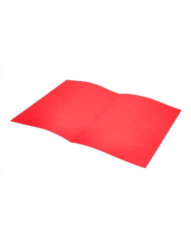Subcarpeta liderpapel folio rojo intenso 180g m2