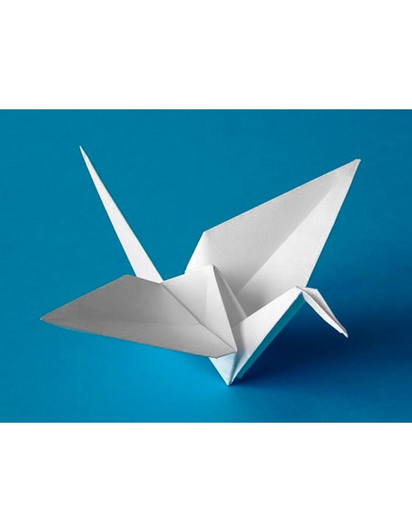 Cartulina liderpapel 50x65 cm 180g m2 blanco