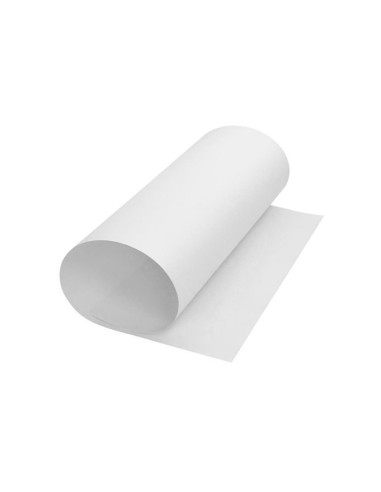 Cartulina liderpapel 50x65 cm 180g m2 blanco