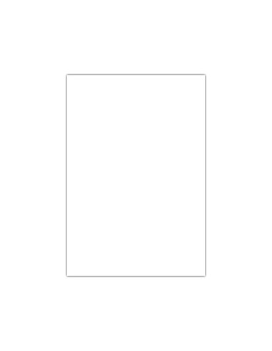 Cartulina liderpapel 50x65 cm 180g m2 blanco