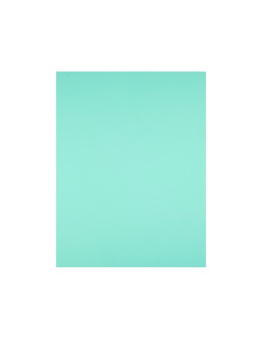 Cartulina liderpapel 50x65 cm 180g m2 verde
