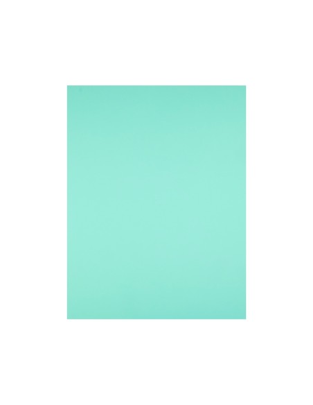 Cartulina liderpapel 50x65 cm 180g m2 verde
