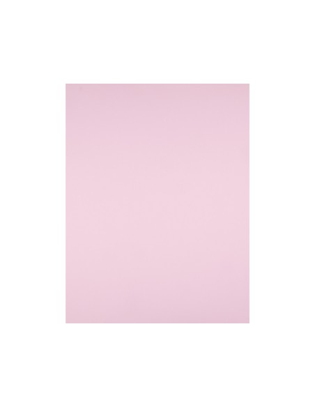 Cartulina liderpapel 50x65 cm 180g m2 rosa