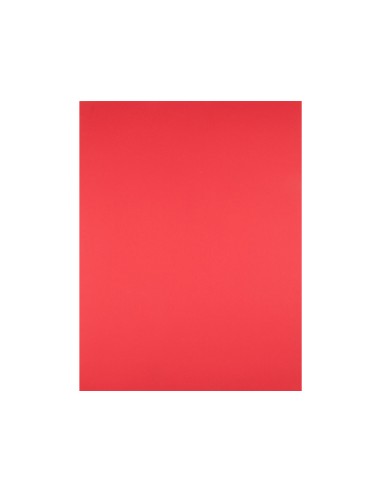 Cartulina liderpapel 50x65 cm 180g m2 rojo