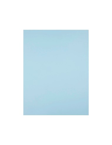 Cartulina liderpapel 50x65 cm 180g m2 azul