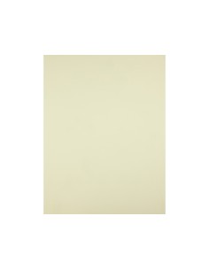 Cartulina liderpapel 50x65 cm 180g m2 amarillo