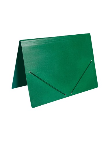 Carpeta planos liderpapel a3 carton gofrado n 12 verde