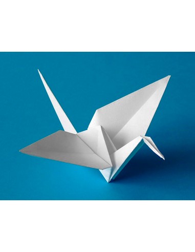 Cartulina liderpapel 50x65 cm 240g m2 blanco