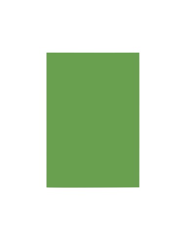 Cartulina liderpapel a4 180g m2 verde abeto paquete de 100 hojas