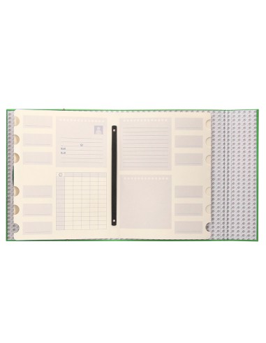 Carpeta clasificadora liderpapel 12 departamentos folio prolongado carton forrado verde claro