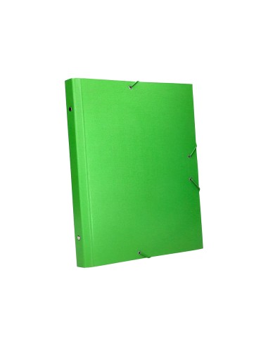 Carpeta clasificadora liderpapel 12 departamentos folio prolongado carton forrado verde claro