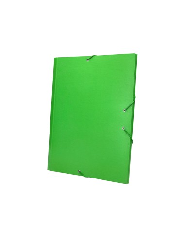 Carpeta clasificadora liderpapel 12 departamentos folio prolongado carton forrado verde claro