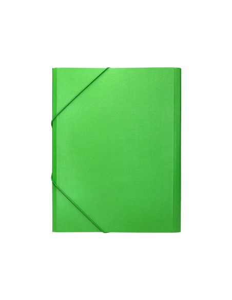 Carpeta clasificadora liderpapel 12 departamentos folio prolongado carton forrado verde claro
