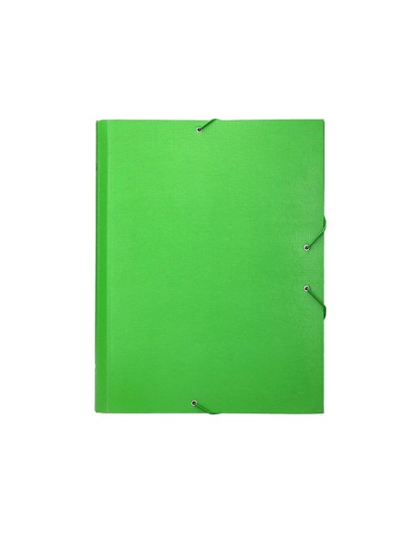 Carpeta clasificadora liderpapel 12 departamentos folio prolongado carton forrado verde claro