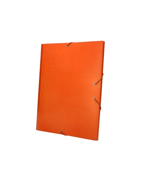 Carpeta clasificadora liderpapel 12 departamentos folio prolongado carton forrado naranja