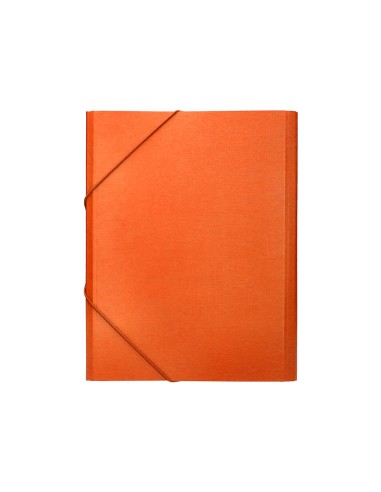 Carpeta clasificadora liderpapel 12 departamentos folio prolongado carton forrado naranja