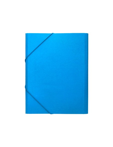 Carpeta clasificadora liderpapel 12 departamentos folio prolongado carton forrado celeste