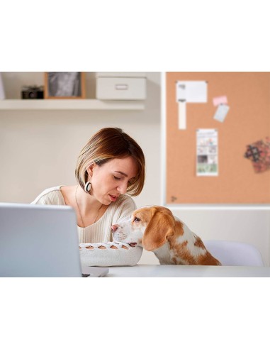 Pizarra corcho q connect 120x90 cm marco aluminio