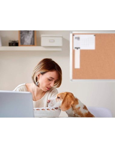 Pizarra corcho q connect marco de aluminio 90x60 cm