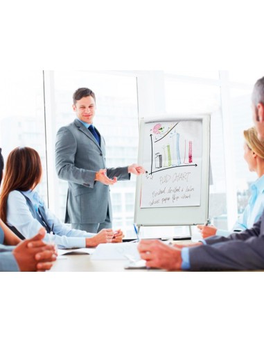 Pizarra blanca q connect con tripode regulable 90x70x195cm y brazos extensibles para conferencias superficie lacada